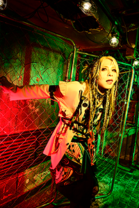 GOTCHAROCKA official website